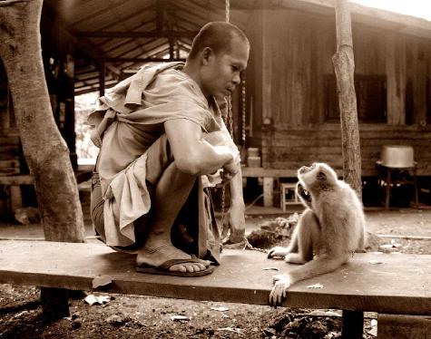 The Monk & The Monkey - photography that inspires peace and compassion for the environment and all living things